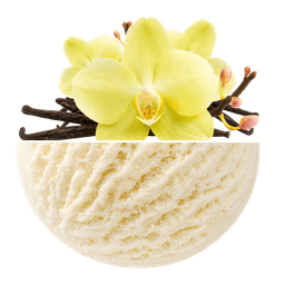 Vanilla